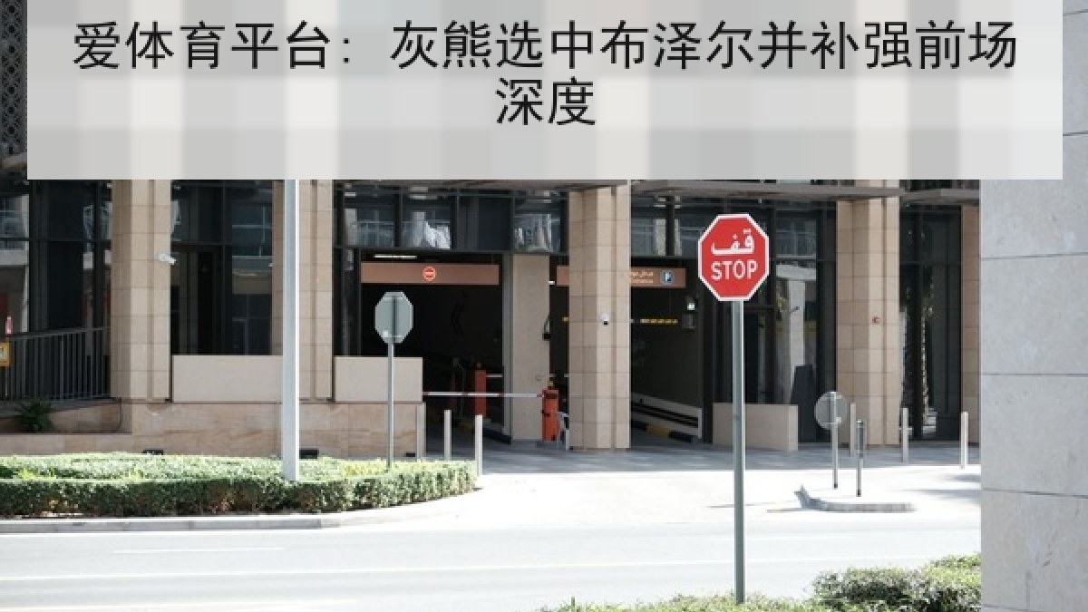 爱体育平台: 灰熊选中布泽尔并补强前场深度