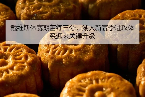 戴维斯休赛期苦练三分，湖人新赛季进攻体系迎来关键升级