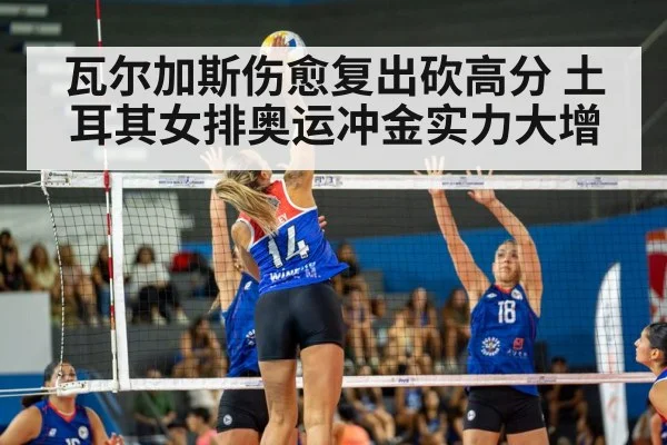 瓦尔加斯伤愈复出砍高分 土耳其女排奥运冲金实力大增