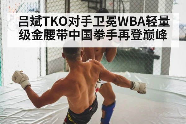 吕斌TKO对手卫冕WBA轻量级金腰带中国拳手再登巅峰